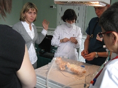 IMG 2953 s