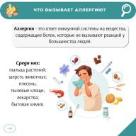 Аллергия: что важно знать?