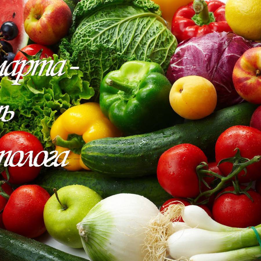 10 марта отмечается День диетолога.