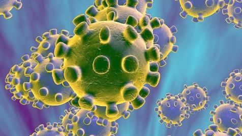 Description: C:\Users\1097_1\Desktop\koronavirus.jpg